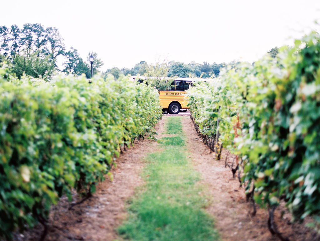 Bratton Martucci Brotherhood Winery Wedding-308