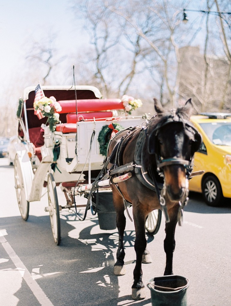 Packard Garcia NYC Elopement Christina Zen-54